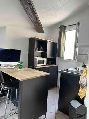 Cuisine ou kitchenette dans l'établissement Lyon Centre - Charpennes