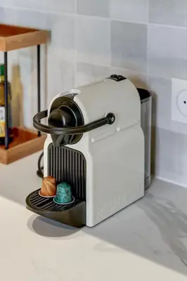 Cuisine ou kitchenette dans l'établissement L'Émeraude - une suite élégante aux portes de Lyon