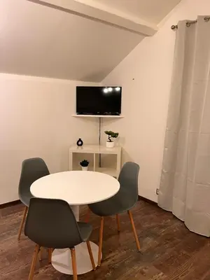Télévision ou salle de divertissement dans l'établissement L'escale Aéro Lyon