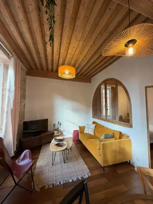 Coin salon dans l'établissement The Sequoia - Charming Canut apartment