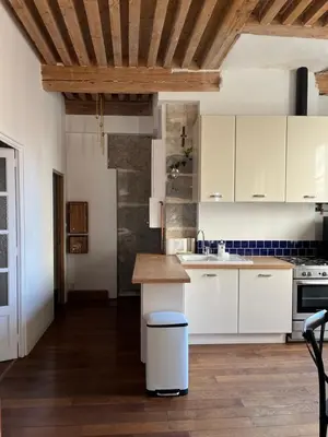 Cuisine ou kitchenette dans l'établissement The Sequoia - Charming Canut apartment