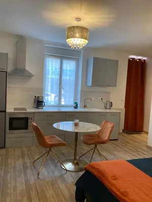 Cuisine ou kitchenette dans l'établissement Studio Vintage avec cheminée décorative