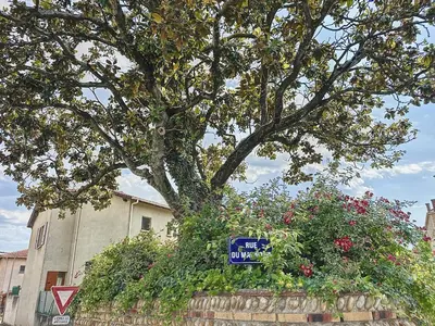 Jardin de l'établissement Le Magnolia