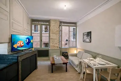 Télévision ou salle de divertissement dans l'établissement Le Cachet Lyonnais
