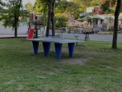 Jardin de l'établissement Mobil-home Confort pour 6 pers. à Chazelles-sur-Lyon - API-1-52-1666