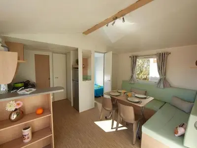 Coin salon dans l'établissement Mobil-home Confort pour 6 pers. à Chazelles-sur-Lyon - API-1-52-1666