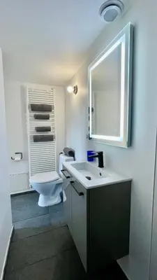 Salle de bains dans l'établissement Studio design lumineux avec jardin privatif, Proche Lyon, Eurexpo, Aéroport, Groupama Stadium