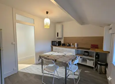 Cuisine ou kitchenette dans l'établissement Studio spacieux avec bureau - Calme & Proche Lyon