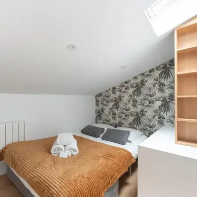 Le Petit Canut - T1 sous les toits avec vue