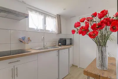 Cuisine ou kitchenette dans l'établissement Appartement l'Atelier Les écrins de corbas