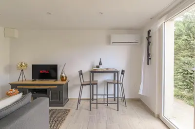 Télévision ou salle de divertissement dans l'établissement Appartement l'Atelier Les écrins de corbas