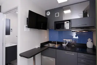 Cuisine ou kitchenette dans l'établissement At home in lyon