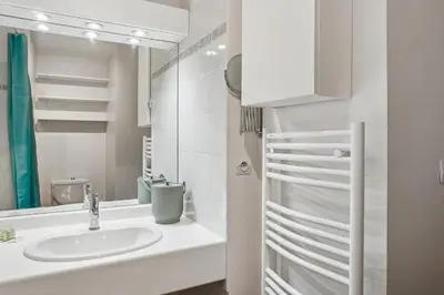 Salle de bains dans l'établissement Superbe apt Lyon 8ème Terrasse parking privé