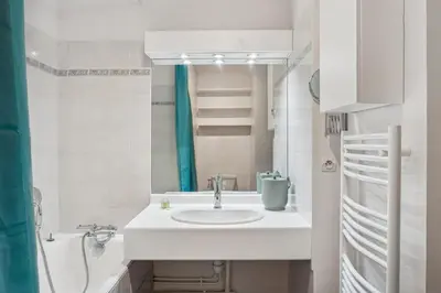 Salle de bains dans l'établissement Superbe apt Lyon 8ème Terrasse parking privé