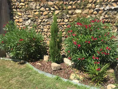 Jardin de l'établissement Le Charles IX