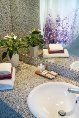 Salle de bains dans l'établissement Hotel Gratte-Ciel Ariana