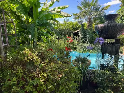 Jardin de l'établissement La Parenthèse