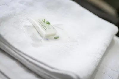 Un ou plusieurs lits dans un hébergement de l'établissement Hotel Du Dauphiné