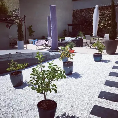 Jardin de l'établissement Les Chambres d'Hôtes d'Alice Dior