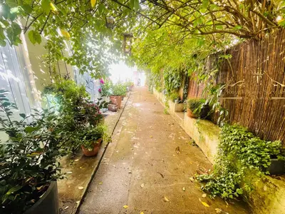 Jardin de l'établissement La petite Maison dans la Croix Rousse