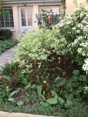 Jardin de l'établissement La petite Maison dans la Croix Rousse