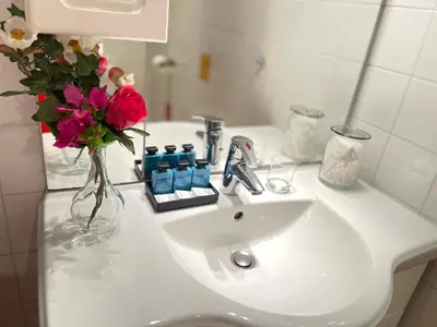 Salle de bains dans l'établissement Le Jardin croix Roussien