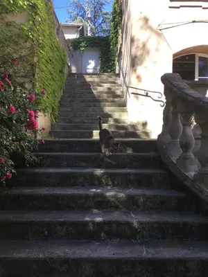 Plan de l'établissement Le Manoir