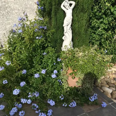 Jardin de l'établissement La Colombe