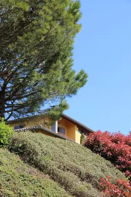Jardin de l'établissement Le Vallon de Saint André