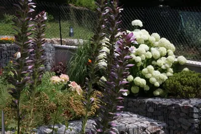 Jardin de l'établissement Maison Cube