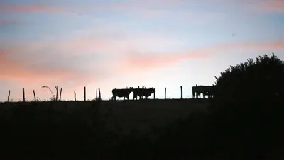 Lever ou coucher de soleil vu de le B&B/chambre d'hôtes ou à proximité