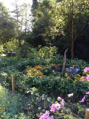 Jardin de l'établissement Les Sittelles de Bamboche