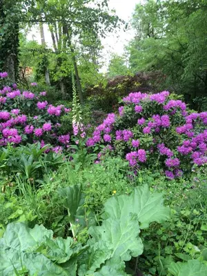 Jardin de l'établissement Les Sittelles de Bamboche
