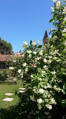 Jardin de l'établissement Le kaolin