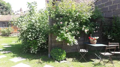Jardin de l'établissement Le kaolin