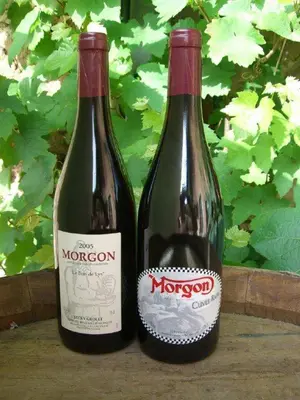 Boissons dans l'établissement Gite le Pot de Vin