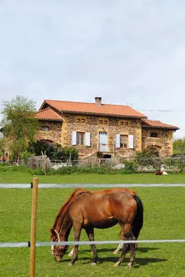 Animaux dans le B&B/chambre d'hôtes ou à proximité