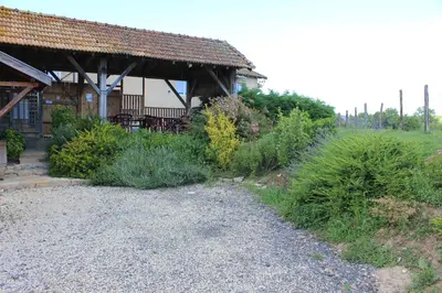 Jardin de l'établissement Le Moulin Traffay