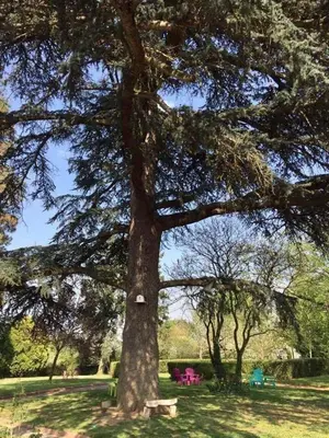 Jardin de l'établissement Chateau de Breuil en Beaujolais