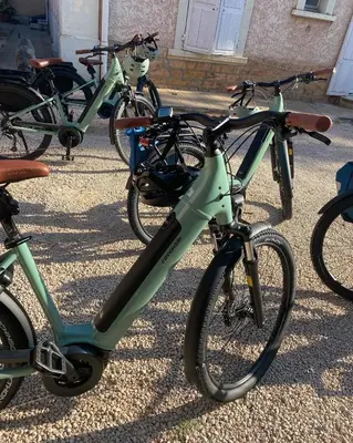 Vélo sur le terrain de l'établissement Chateau de Breuil en Beaujolais ou dans les environs