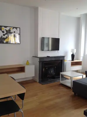 Télévision ou salle de divertissement dans l'établissement Charme et Modernité au Cœur de Lyon