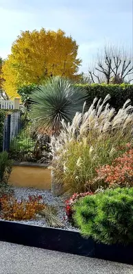 Jardin de l'établissement Ma maison fleurie proche AEROPORT LYON ST EXUPERY, LDLC ARENA, Groupama Stadium,Eurexpo