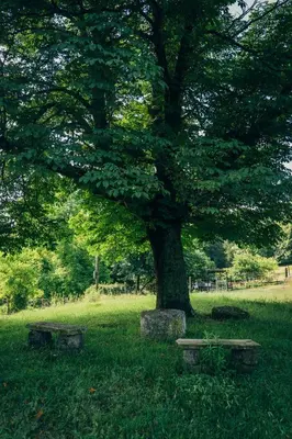 Jardin de l'établissement Une pause sur la colline
