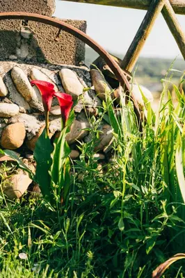 Jardin de l'établissement Une pause sur la colline