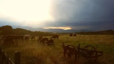 Paysage naturel près de la maison de vacances
