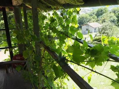 Jardin de l'établissement Le Chatel en Beaujolais