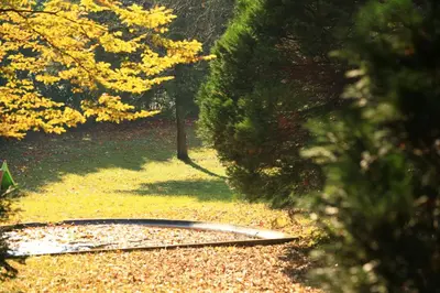 Jardin de l'établissement L'Oree Du Château