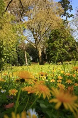 Jardin de l'établissement L'Oree Du Château