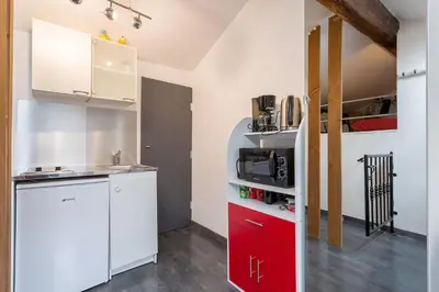 Cuisine ou kitchenette dans l'établissement Lyon