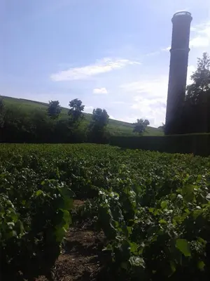 Paysage naturel près de la maison d'hôtes